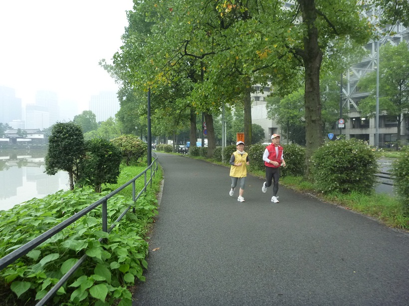 皇居ジョギング　国会前付近から桜田門を望む