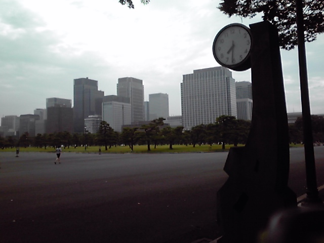 桜田門から皇居広場を望む
