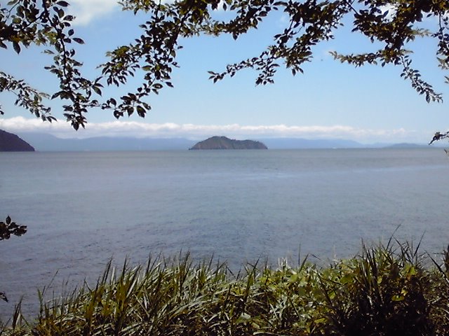 奥琵琶湖より竹部島を望む