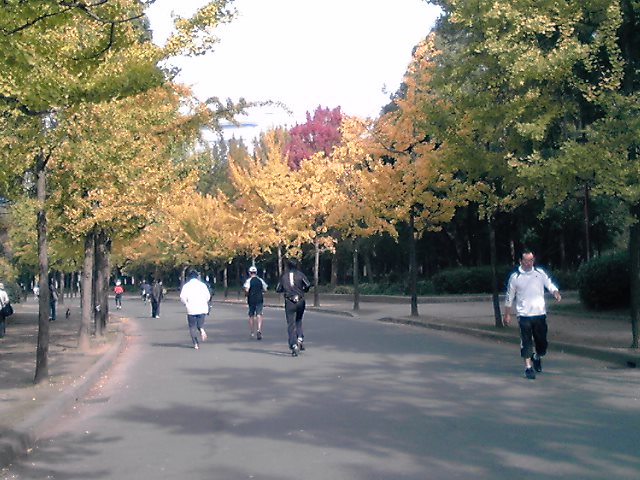 黄葉の大阪城公園