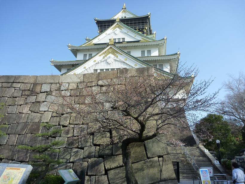 大阪城の桜2010年3月22日撮影