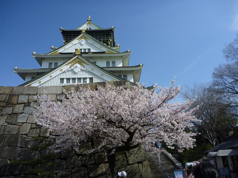 大阪城の桜（４月４日）