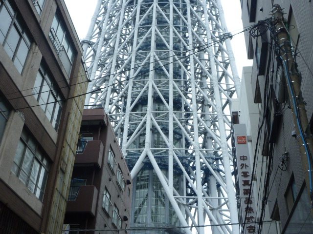 周辺の民家と対照的な巨大な東京スカイツリー