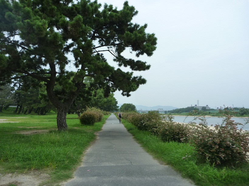 武庫川自転車専用道路