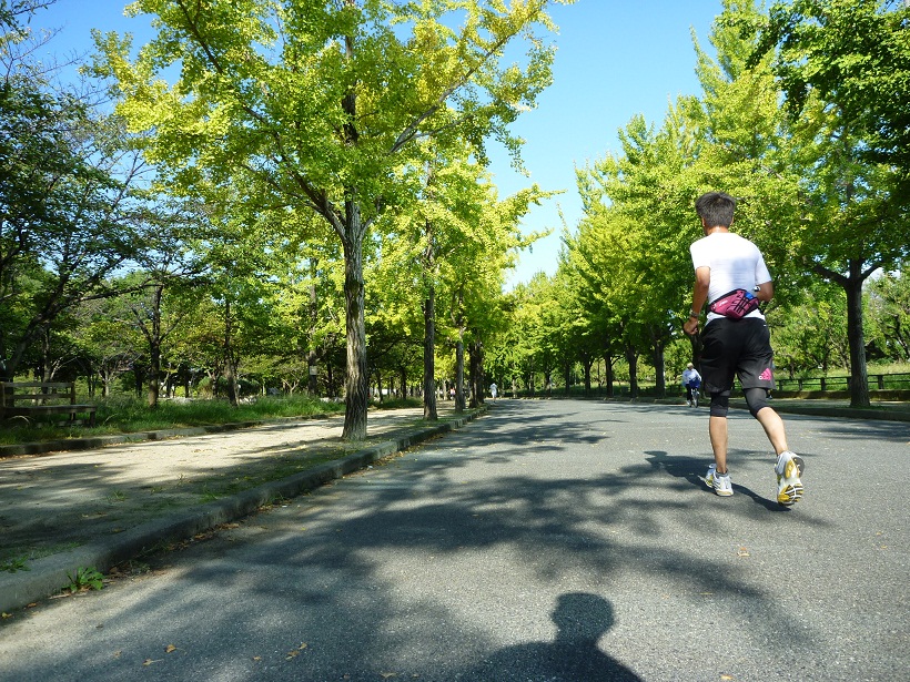 大阪城公園・桃園付近の銀杏並木道