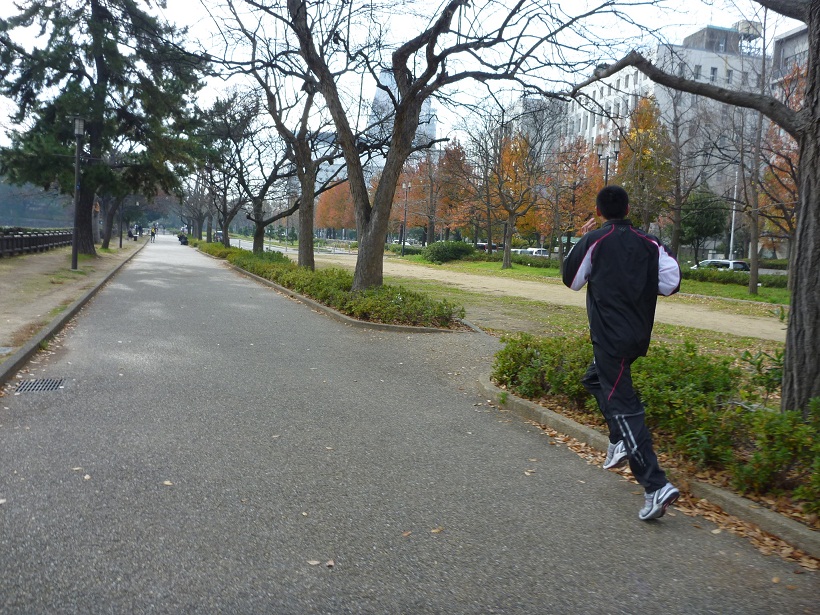 大阪府庁前の大阪城公園ジョギングコース